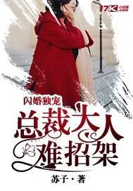 闪婚独宠总裁大人难招架苏贤儿