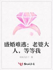 盛宠娇妻老婆大人你不乖