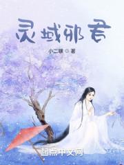 灵域 邪神