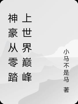 神豪从零踏上世界巅峰txt