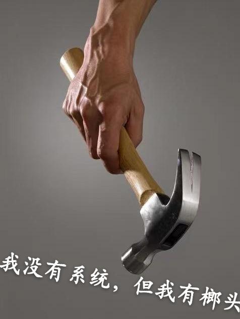 但我有榔头简介