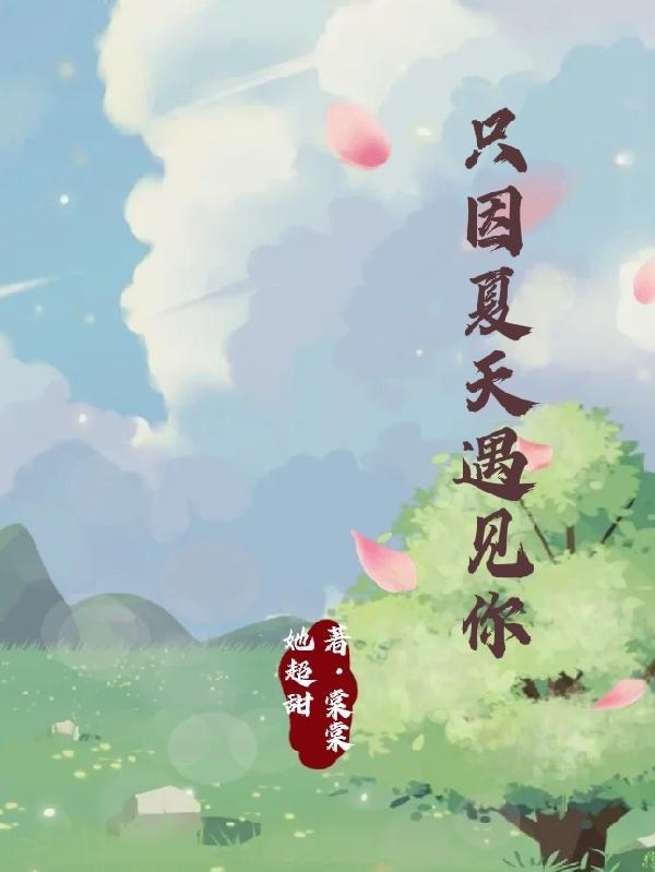 因为遇见整个夏天