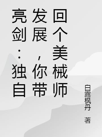 你带回个美械师 白露枫丹