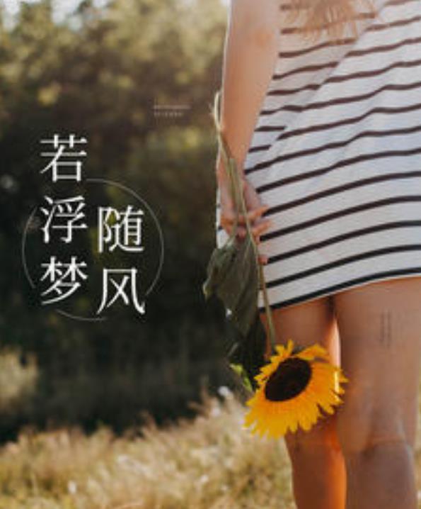 李见微严谨免费阅读