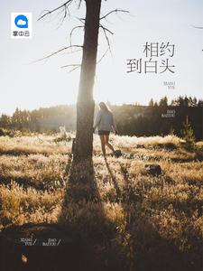 佳人似水txt