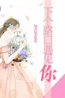 下个路口遇见你兰思思