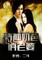 婚情末路厉总别纠缠我全文免费阅