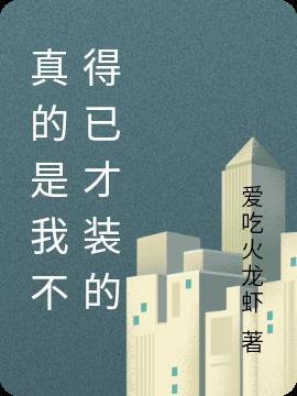 真是了不得什么意思