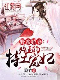 爱的避风港是什么歌曲