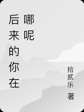 后来的你在哪主题曲