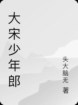 大宋 少年大将军