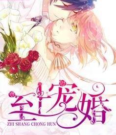 至上宠婚r