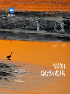 愿做一缕微光