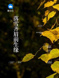落雪齐眉前生缘全文