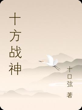 十方战神飞卢