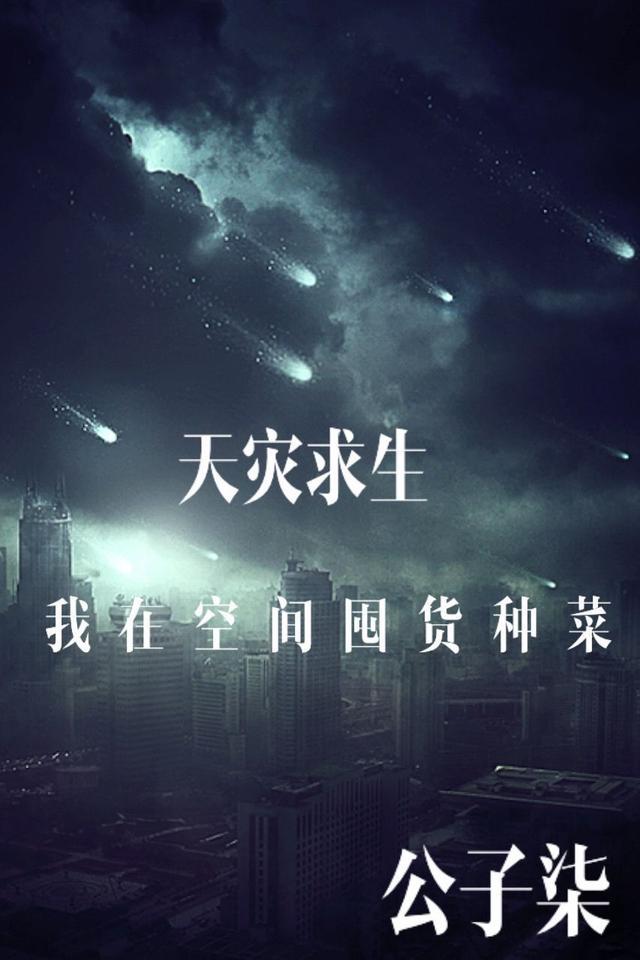 我在空间囤货种菜TXT