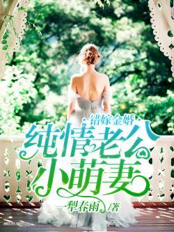 豪门小萌妻荷菱正版
