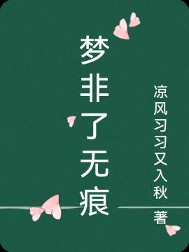 梦无痕随风逝是什么意思