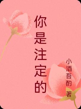 你注定是我的命中注定剧情介绍