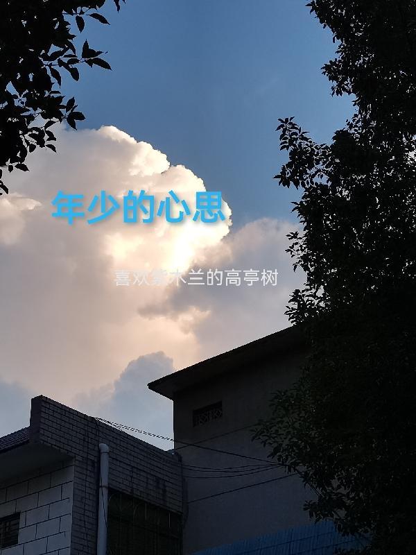 年少的心太柔软什么意思