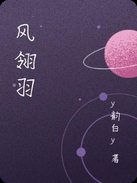 风翎羽毛球教练