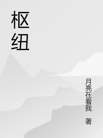 枢纽和纽带