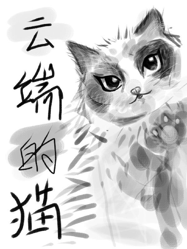 云端的猫猫骑士