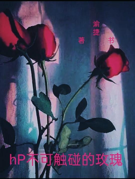 不能触碰的玫瑰