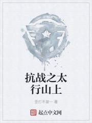 抗战之太行山上txt八零