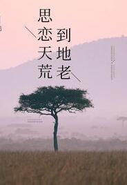 思恋天荒到地老免费