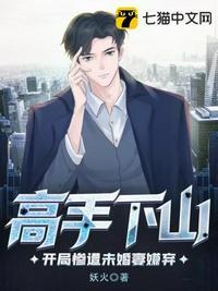高手下山开局七份婚书