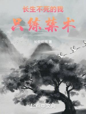 长生不死的我只练禁术顶点长空细雨