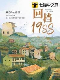 回档1988讲的啥