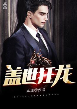 盖世狂龙33集
