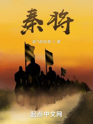 秦将军智能门锁怎么样