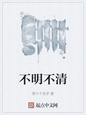不明不清作品