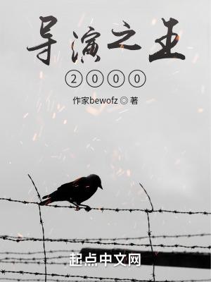 导演之王2000无防盗免费阅读