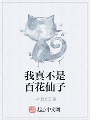我真不是白莲花