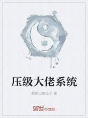 压级大佬是好是坏