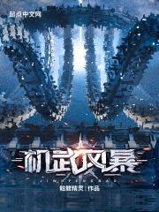 机武风暴无错版