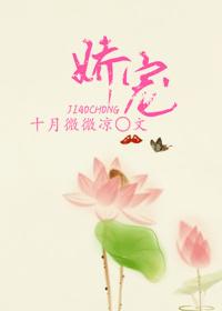娇宠小宫女