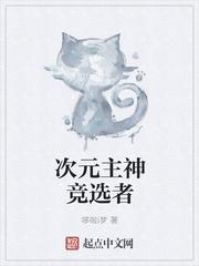 次元主神竞选者起点