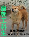 唐朝工科生txt