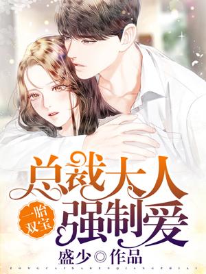 一胎双宝总裁大人强制爱免费阅全文