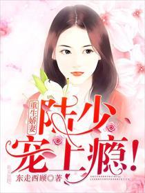 重生陆少宠妻上瘾txt