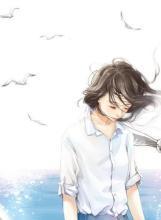 不负倾城
