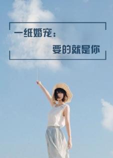 一纸婚宠要的就是你txt