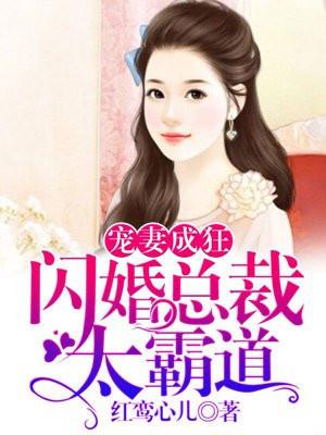 宠妻成狂闪婚总裁太霸道免费阅读全文