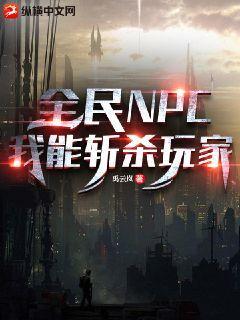 全民NPC我能斩杀玩家txt
