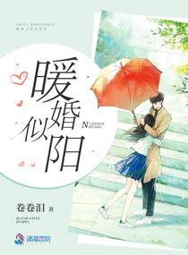 暖婚似阳txt百度